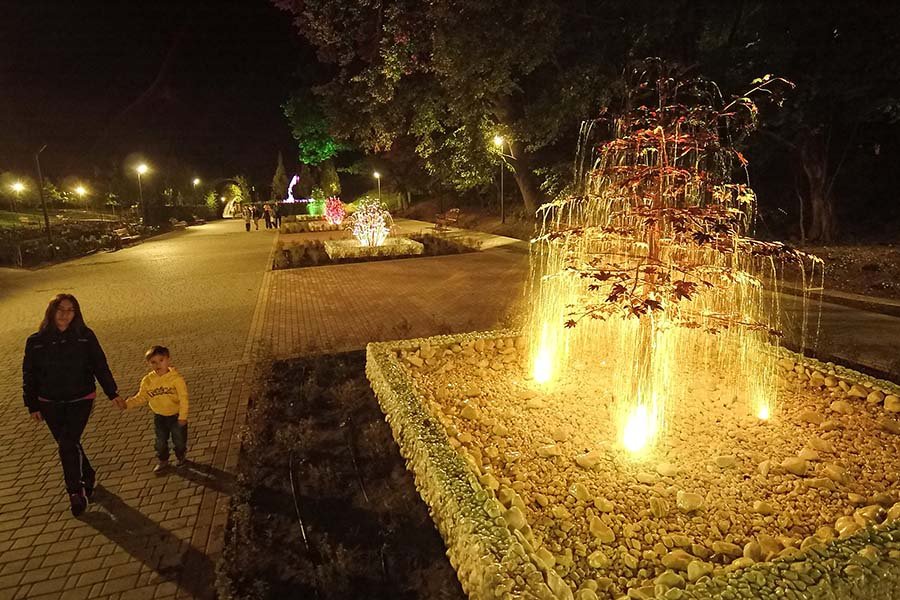 park garden with illuminated water features at night