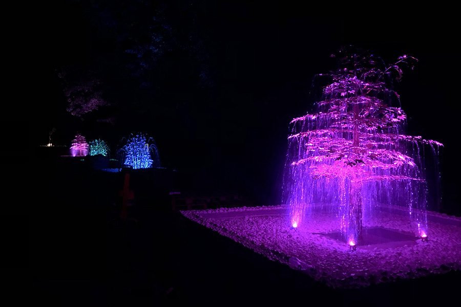 illuminated tree installation