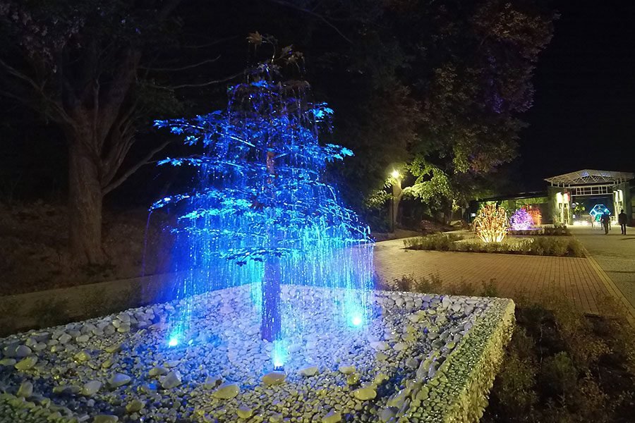 metal tree art feature with blue light