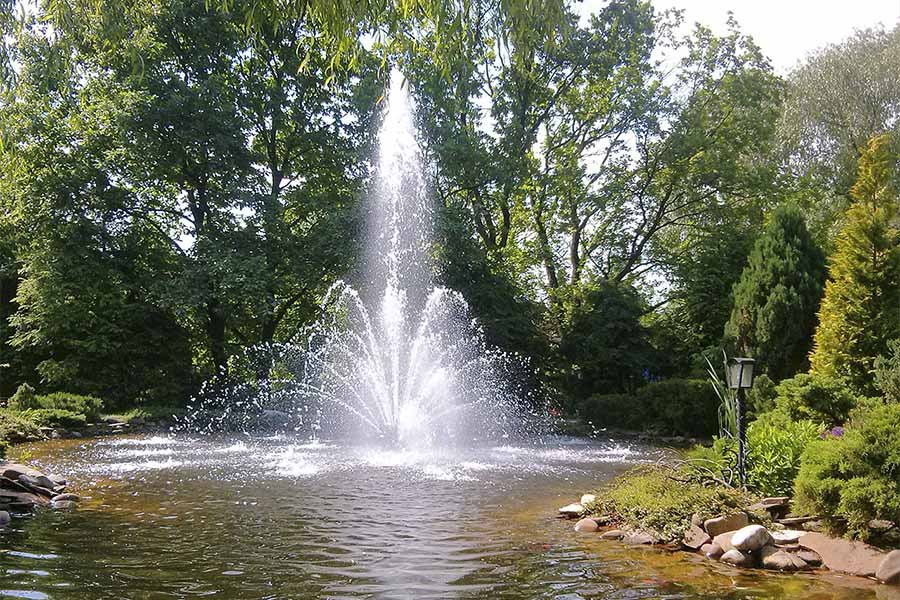 Pond fountain with high central geyser