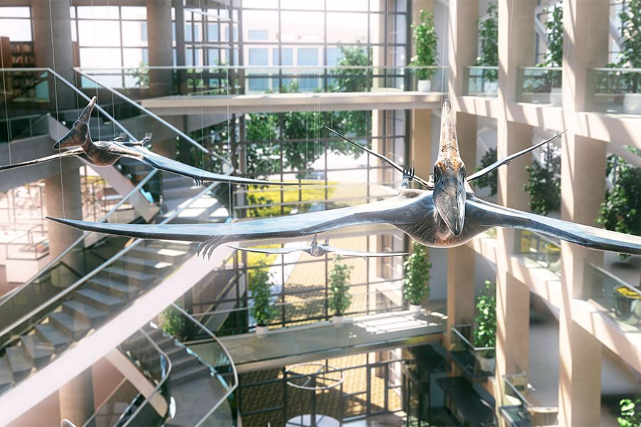 Suspended flying creature sculptures in modern atrium
