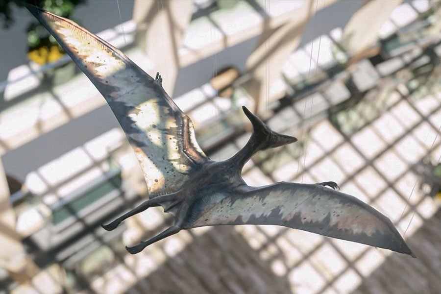 Suspended flying creature sculpture in atrium