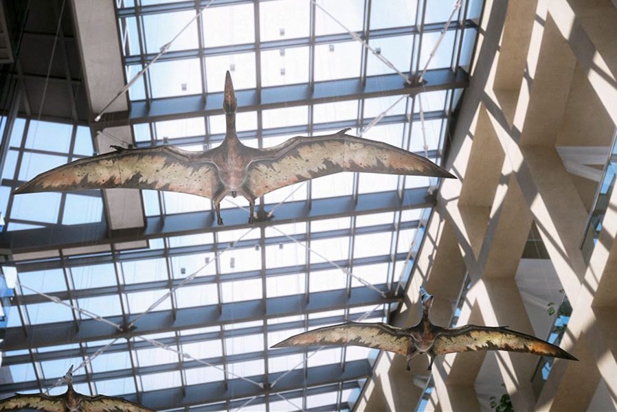 Pterosaur sculpture suspended under glass atrium roof