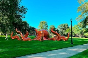 octopus interactive art installation