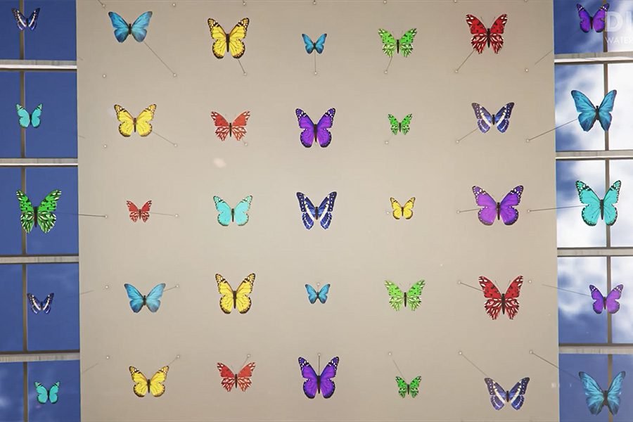 3D wall-mounted butterfly installation